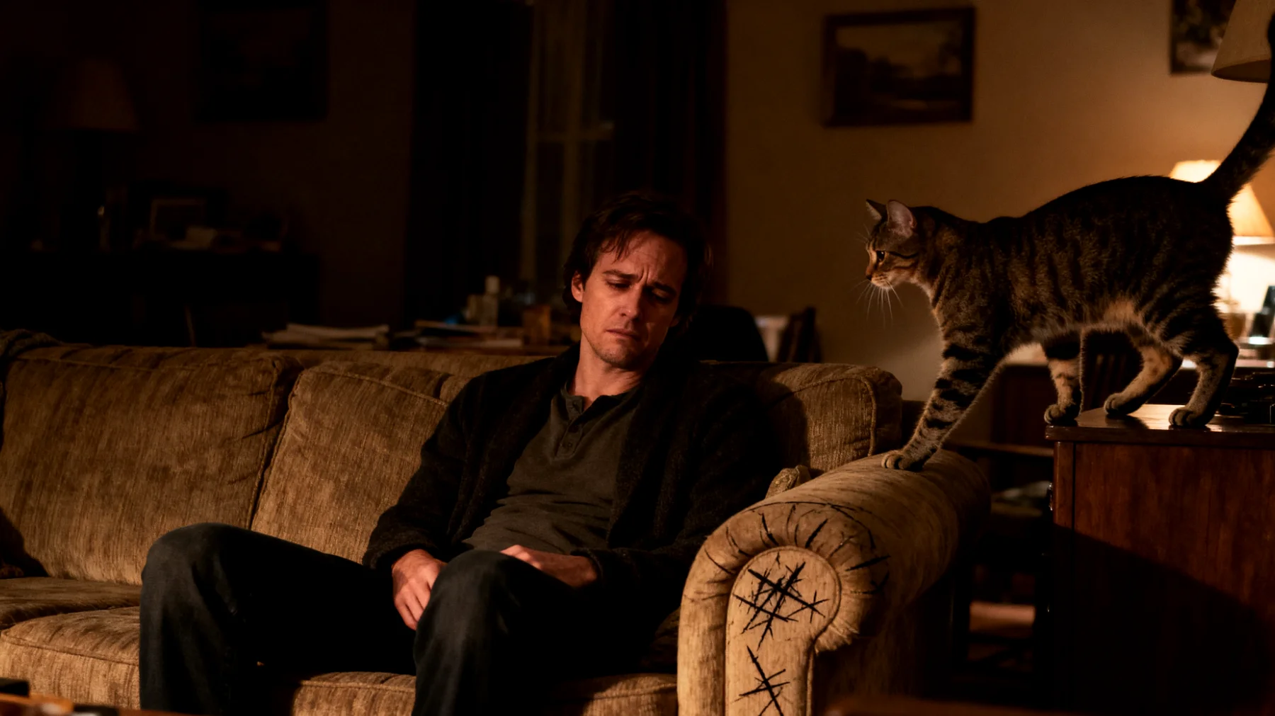 Katzen zeigen oft unerwünschte Verhaltensweisen wie Kratzen an Möbeln, nächtliche Hyperaktivität oder Ignorieren von Trainingsbefehlen, was das Zusammenleben erschwert und Besitzer vor Herausforderungen beim Training stellt"